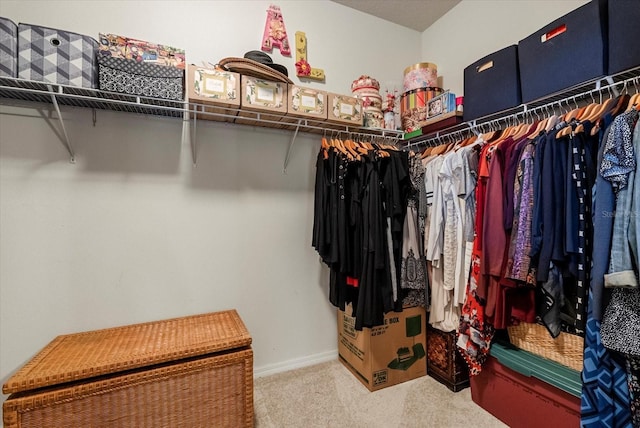30300 Hackney Loop, Mount Dora, FL 32757 - walk in closet with carpet floors