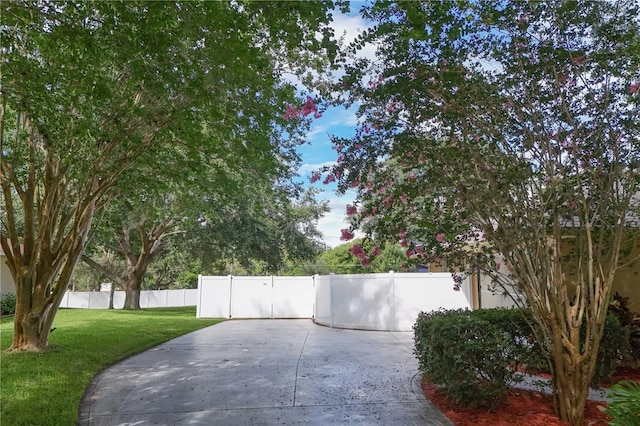 13545 Oak Bend Dr, Grand Island, FL 32735 - photo 3