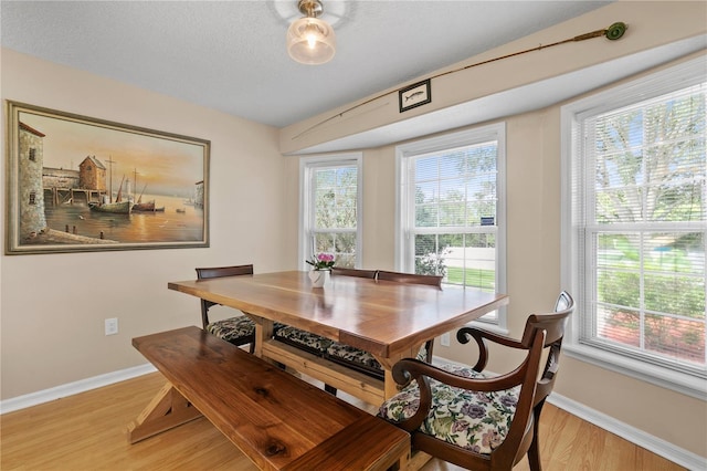 13545 Oak Bend Dr, Grand Island, FL 32735 - photo 13