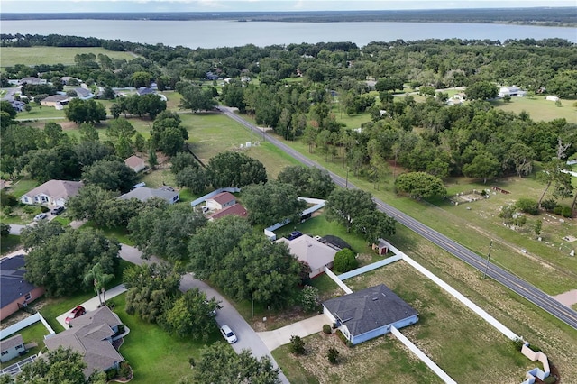 13545 Oak Bend Dr, Grand Island, FL 32735 - photo 48