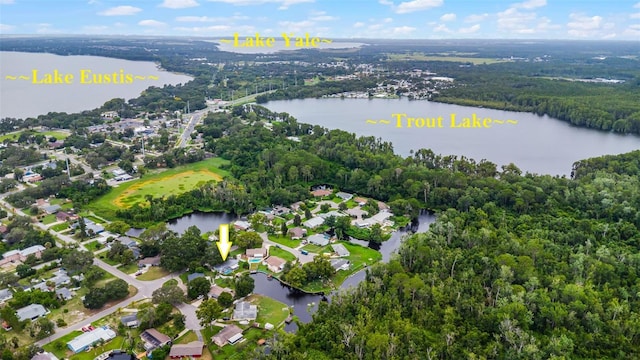 703 N Hawley St, Eustis, FL 32726 - photo 48