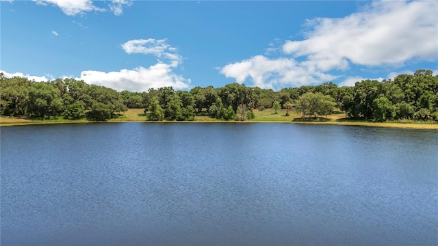 2400 Lake Griffin Rd, Lady Lake, FL 32159 - photo 6