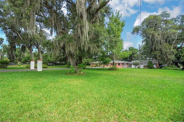 2400 Lake Griffin Rd, Lady Lake, FL 32159 - photo 12