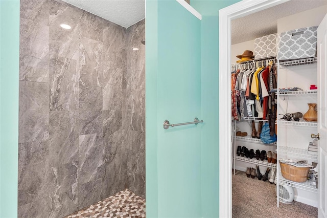 1412 Cove Pl, Tavares, FL 32778 - full bath with a textured ceiling, a tile shower, and a spacious closet