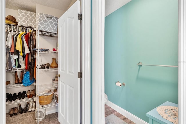 1412 Cove Pl, Tavares, FL 32778 - bathroom featuring a spacious closet, wood finished floors, and a textured ceiling