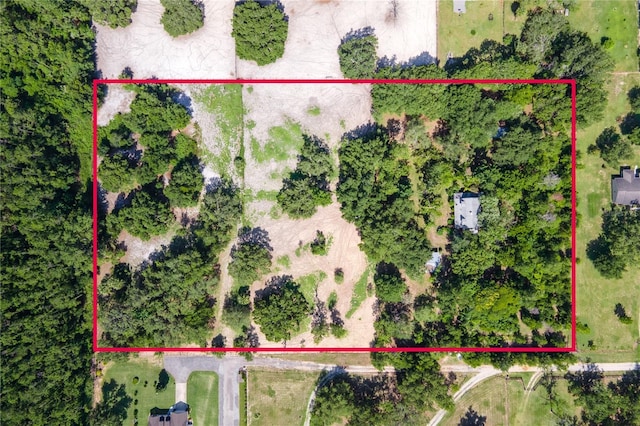 28331 Williams Woods Rd, Tavares, FL 32778 - photo 2