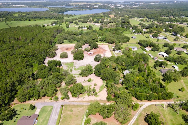 28331 Williams Woods Rd, Tavares, FL 32778 - photo 13