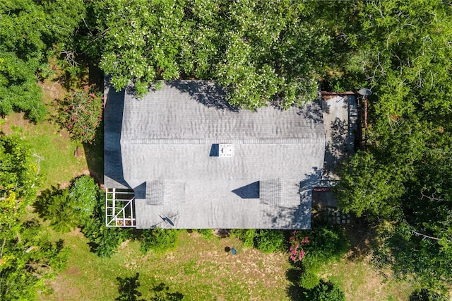 28331 Williams Woods Rd, Tavares, FL 32778 - photo 14
