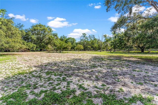 28331 Williams Woods Rd, Tavares, FL 32778 - photo 17