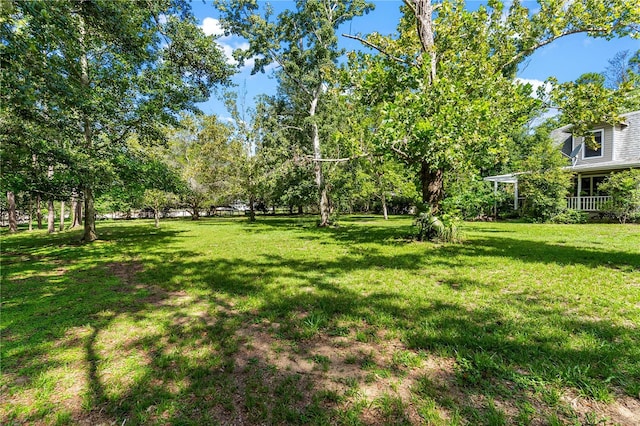 28331 Williams Woods Rd, Tavares, FL 32778 - photo 22