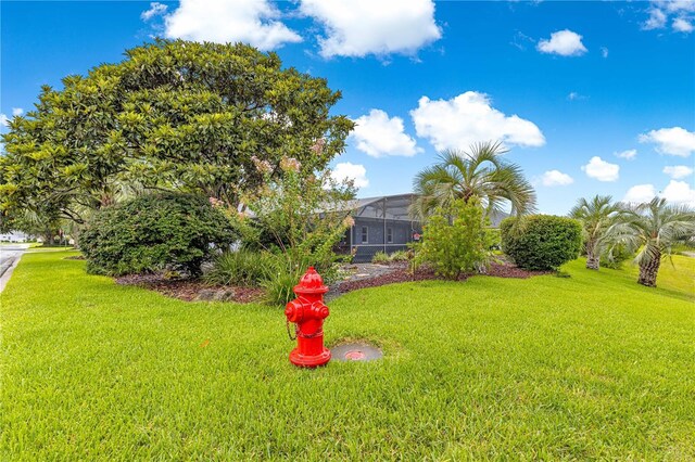 89 Palermo Pl, The Villages, FL 32159 - view of grassy yard