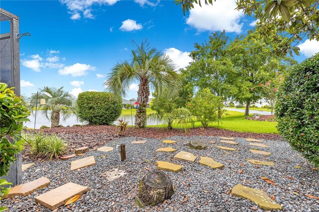 89 Palermo Pl, The Villages, FL 32159 - view of yard