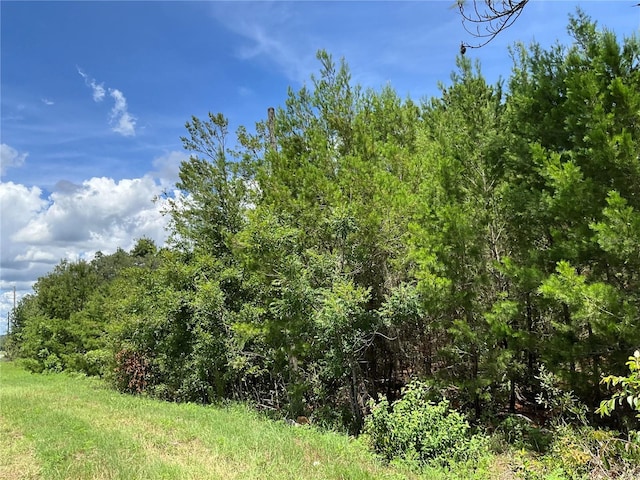 101 Hickory Ln, Interlachen, FL 32148