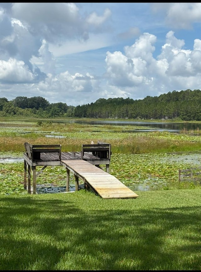 42029 W Lakeview Dr, Altoona, FL 32702 - photo 25