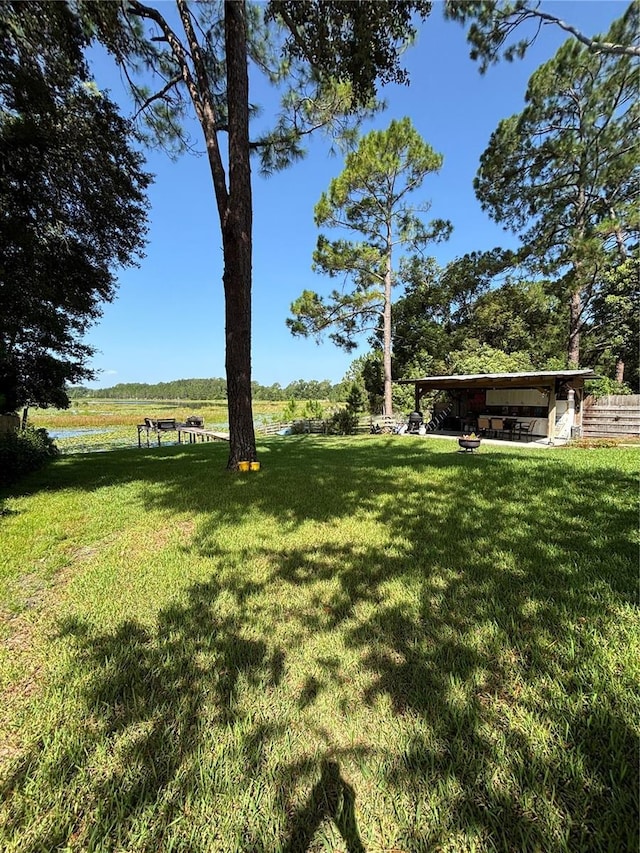 42029 W Lakeview Dr, Altoona, FL 32702 - photo 22