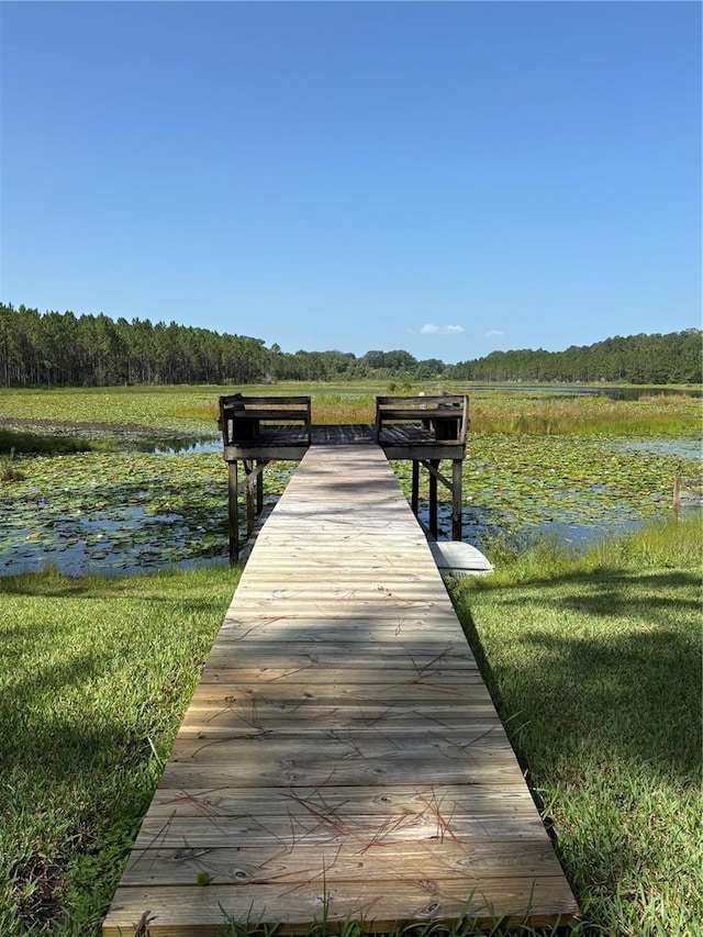 42029 W Lakeview Dr, Altoona, FL 32702 - photo 23