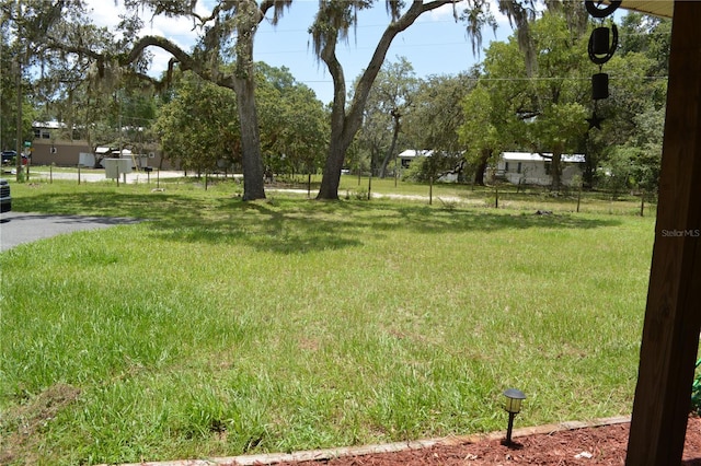 12344 Crk 684, Webster, FL 33597 - photo 34