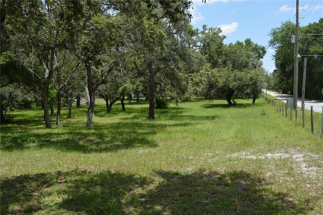 12344 Crk 684, Webster, FL 33597 - photo 39