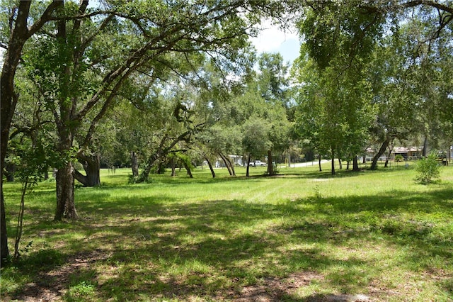 12344 Crk 684, Webster, FL 33597 - photo 40