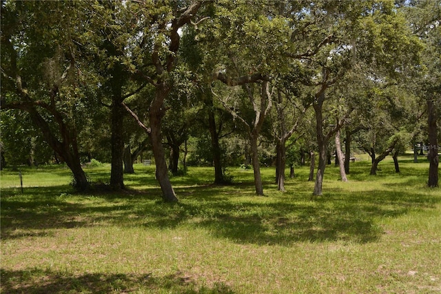 12344 Crk 684, Webster, FL 33597 - photo 41