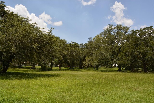 12344 Crk 684, Webster, FL 33597 - photo 47