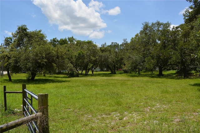 12344 Crk 684, Webster, FL 33597 - photo 48