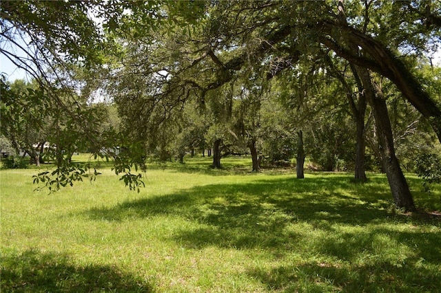 12344 Crk 684, Webster, FL 33597 - photo 49