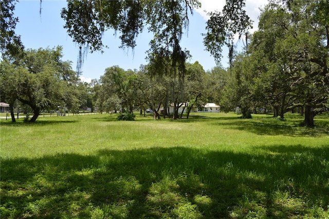 12344 Crk 684, Webster, FL 33597 - photo 50