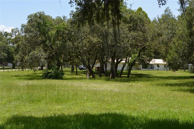 12344 Crk 684, Webster, FL 33597 - photo 51