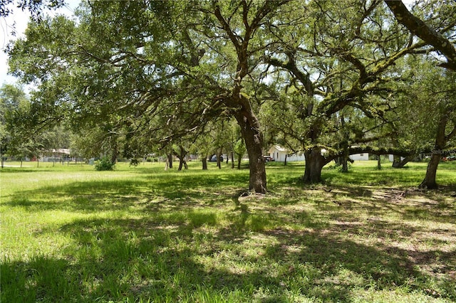 12344 Crk 684, Webster, FL 33597 - photo 52