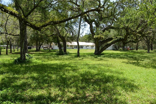 12344 Crk 684, Webster, FL 33597 - photo 54