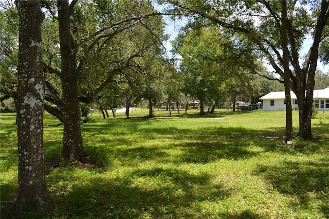 12344 Crk 684, Webster, FL 33597 - photo 55