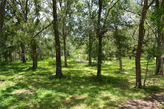 12344 Crk 684, Webster, FL 33597 - photo 56