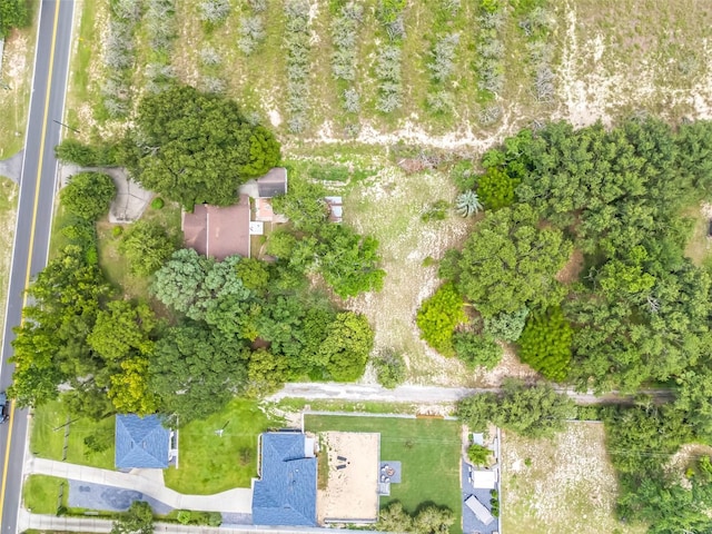 9404 Lakeshore Dr, Clermont, FL 34711 - photo 21