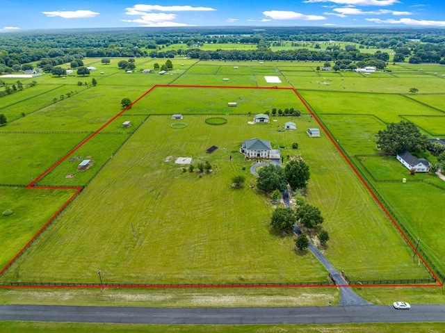 12345 NE 14th Ave, Anthony, FL 32617 - photo 2
