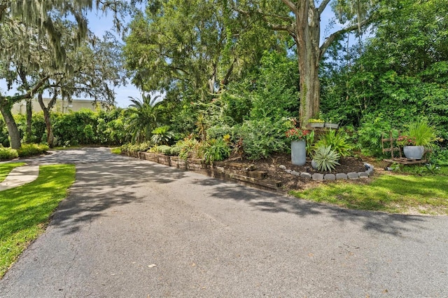 3105 S Lakeshore Ct, Eustis, FL 32726 - photo 2