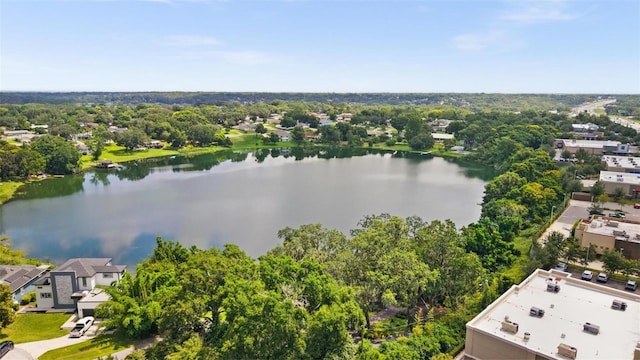 3105 S Lakeshore Ct, Eustis, FL 32726 - photo 53