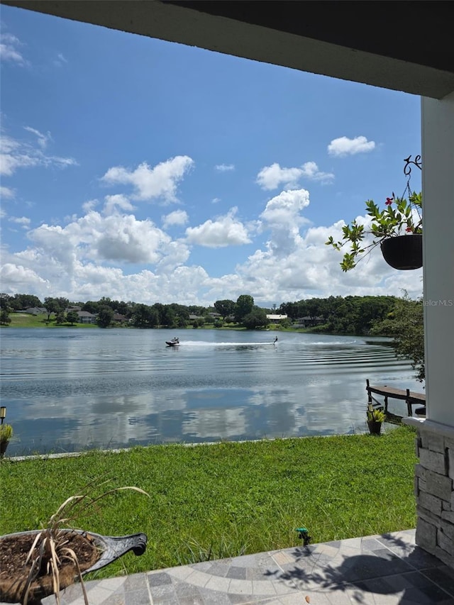 3105 S Lakeshore Ct, Eustis, FL 32726 - photo 55