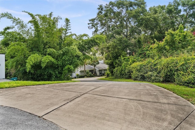 3105 S Lakeshore Ct, Eustis, FL 32726 - photo 56