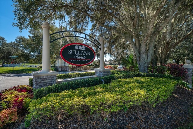 30304 Cheval St, Mount Dora, FL 32757 - photo 45