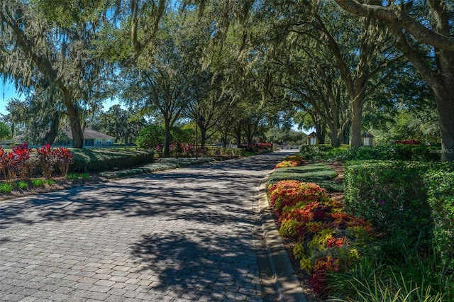 30304 Cheval St, Mount Dora, FL 32757 - photo 46