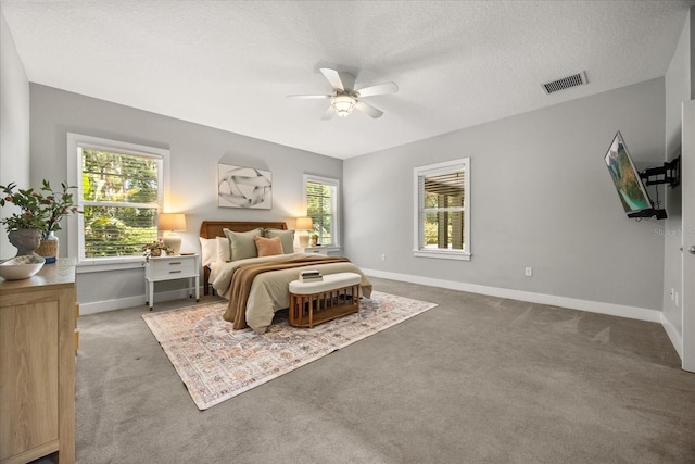 2945 Lakeshore Dr, Mount Dora, FL 32757 - photo 13
