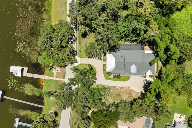 2945 Lakeshore Dr, Mount Dora, FL 32757 - photo 53