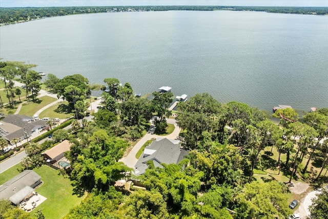 2945 Lakeshore Dr, Mount Dora, FL 32757 - photo 54