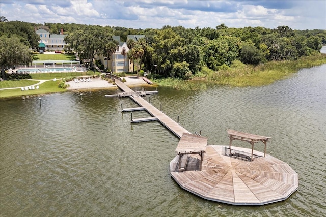 2945 Lakeshore Dr, Mount Dora, FL 32757 - photo 55