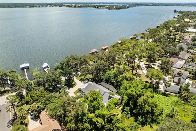 2945 Lakeshore Dr, Mount Dora, FL 32757 - photo 56