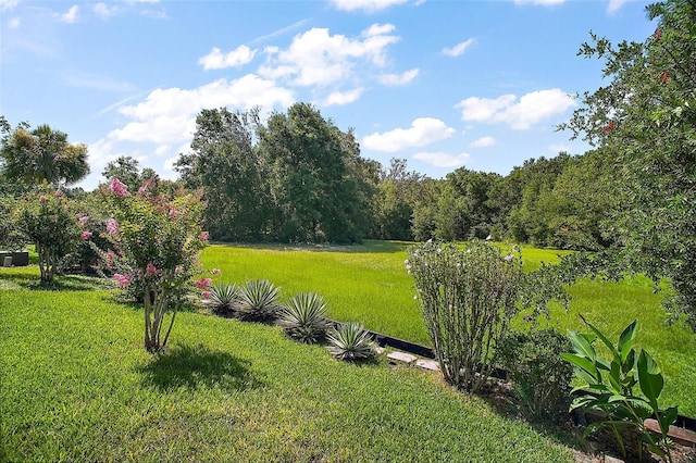 182 Palermo Pl, Lady Lake, FL 32159 - view of green lawn
