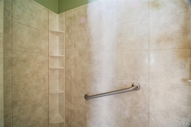 182 Palermo Pl, Lady Lake, FL 32159 - bathroom view of a tile shower