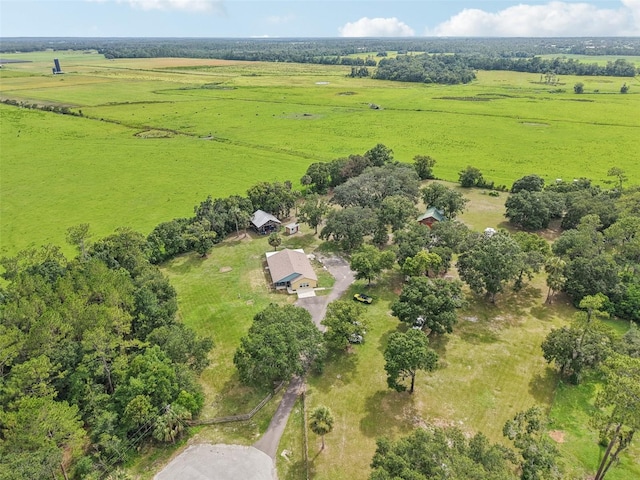40535 Louise Rd, Umatilla, FL 32784 - overview of rural landscape