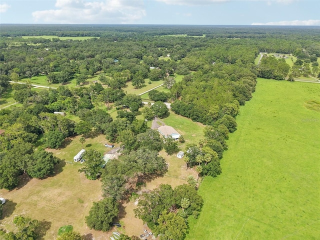 40535 Louise Rd, Umatilla, FL 32784 - view of property location with a forest